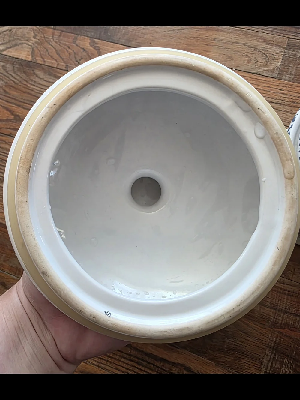 jay imports border contents lid